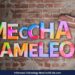 Dua Orang Garap Meccha Chameleon dalam 2 Bulan, Kini Raup Pendapatan Hampir Rp 1 Triliun